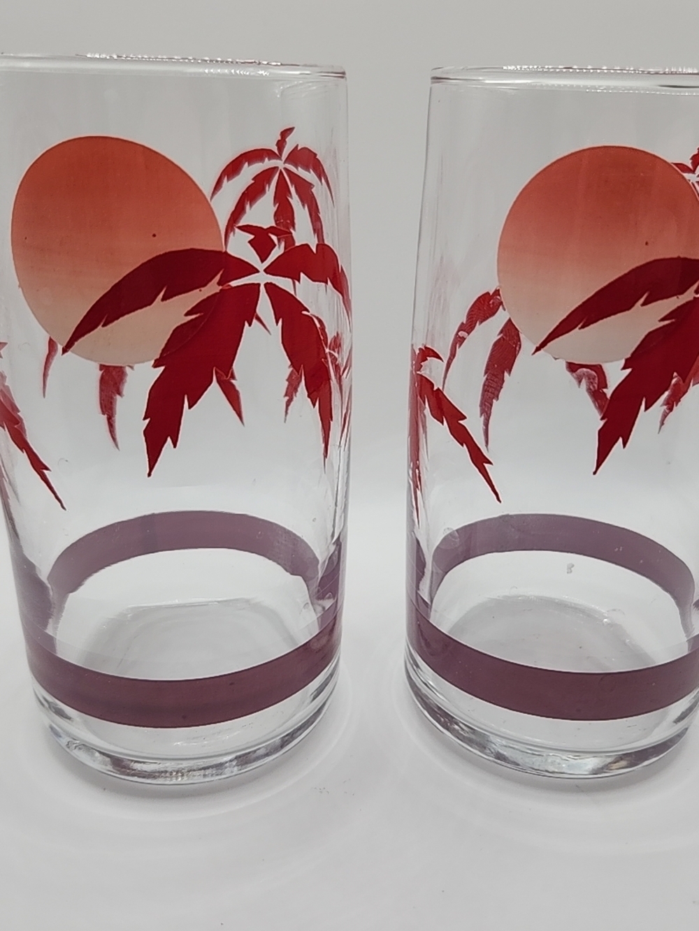 Clear Glass Tumbler Set with Red Palm Sunset Design vintage